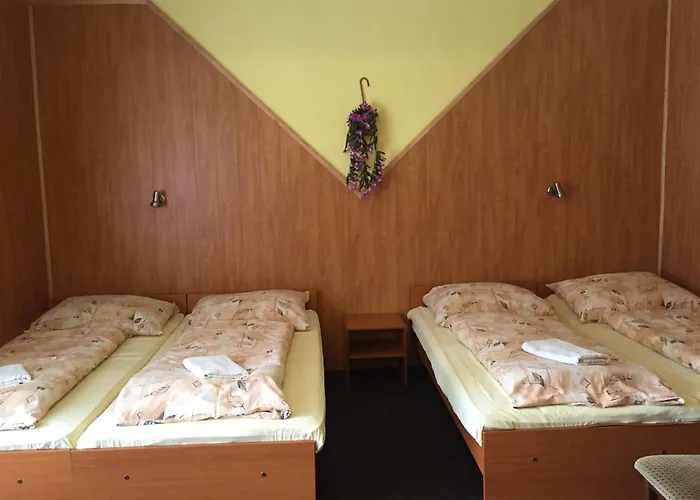 Otel Reoneo Vernířovice